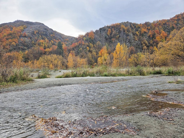 22.jpg