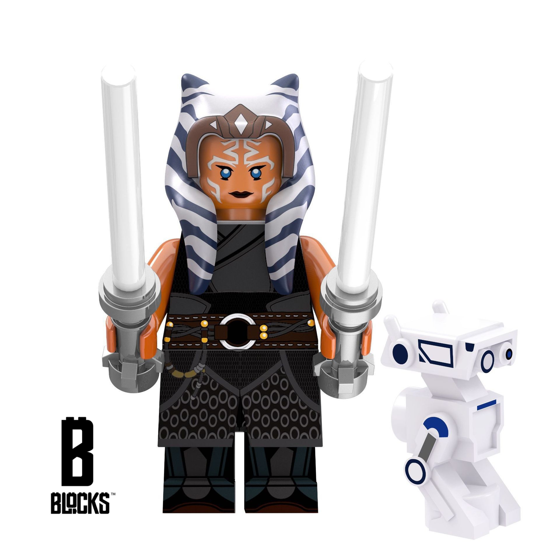 Ashoka v3