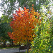 13.10.2026