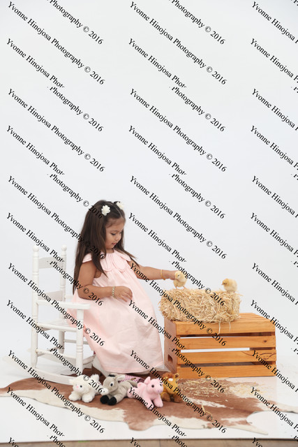IMG 0930