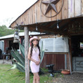 IMG 7368