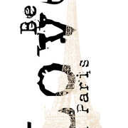 Valkyrie Designs Be My Love In Paris (5)