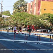 IMG 0117