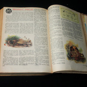 IMG-3821
