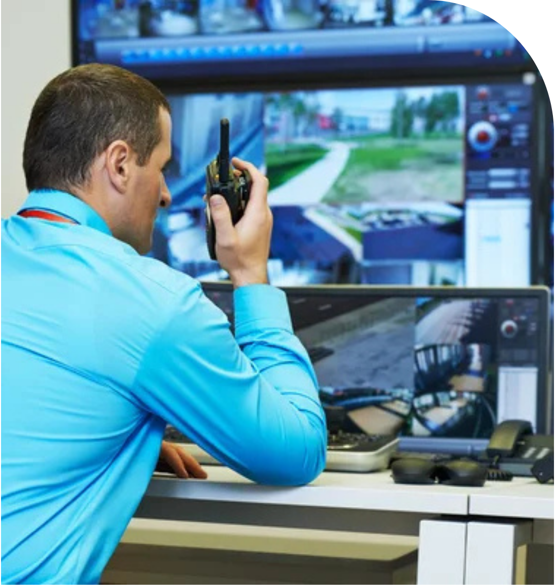 About Image 