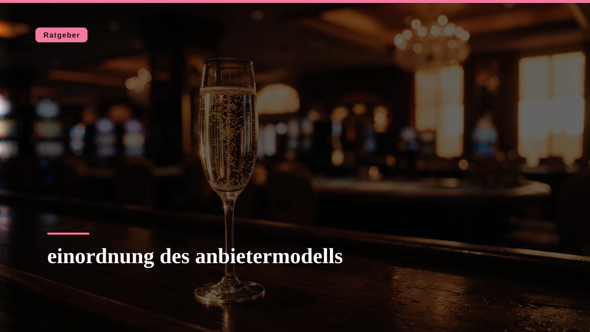 einordnung des anbietermodells