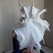 Spawn24
