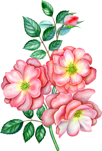 804a056bd4a52b8a6f1ecbcafa34f2ff.png