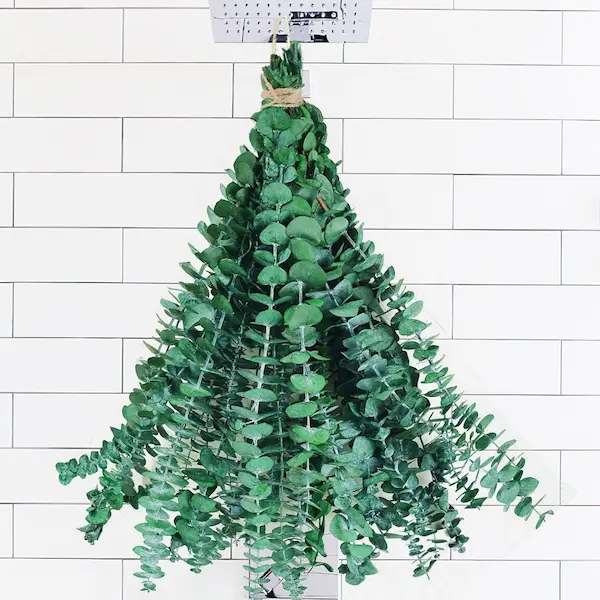 Minimalist Dried Eucalyptus Shower Bundle for Elegant Home & Bathroom Decor