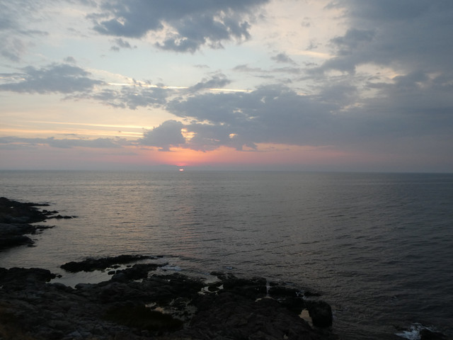 P1010291