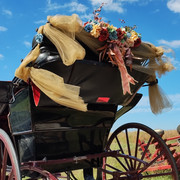 carriage-back1