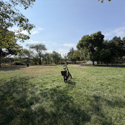 IMG 7959