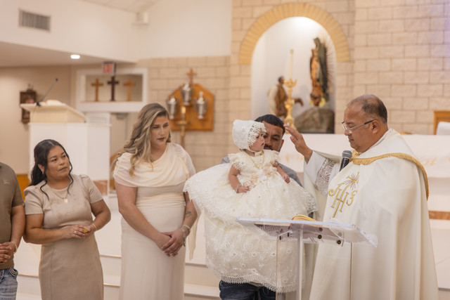 IMG 8242