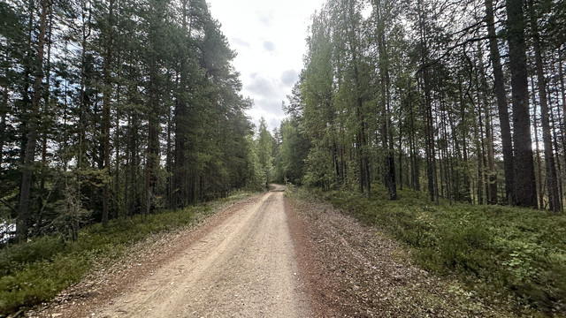 IMG 4548.jpg