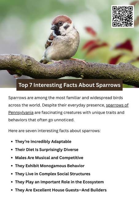 Sparrows are small yet fascinating birds known for their adaptability, diverse diet, and social nature. From complex songs to shared parenting roles, they thrive in both wild and urban areas. Their presence reflects ecosystem health and balance. Observing the sparrows of Pennsylvania offers insight into local biodiversity and the important roles these birds play in their natural habitats. To know more visit here https://wildbirdguide.com/local-birds/american-tree-sparrow/