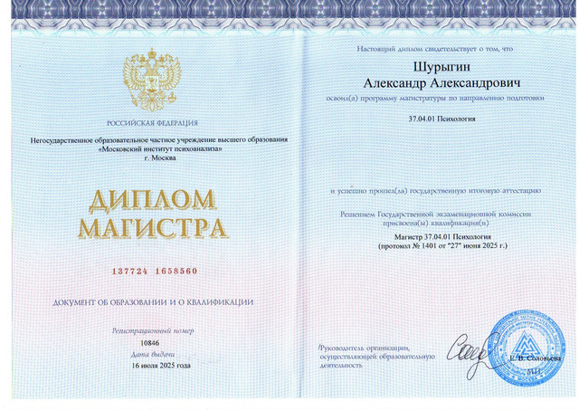 Диплом МИП
