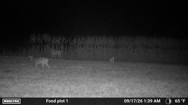 IMG 2251