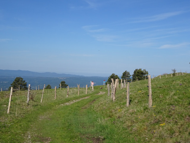 DSC04863