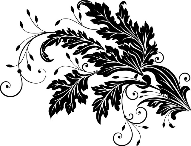 shutterstock 2233663927.jpg