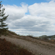 71