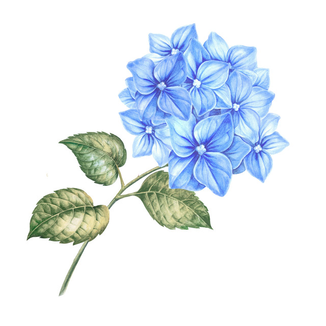 Adobe Stock 579506763.jpg