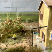 IMG 0435