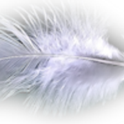h l7c082kw