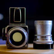 DSF1877