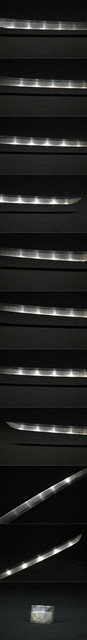 DSC0787.jpg