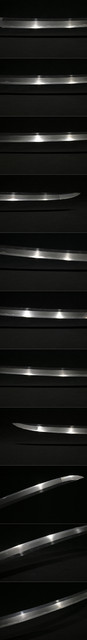 DSC7010.jpg