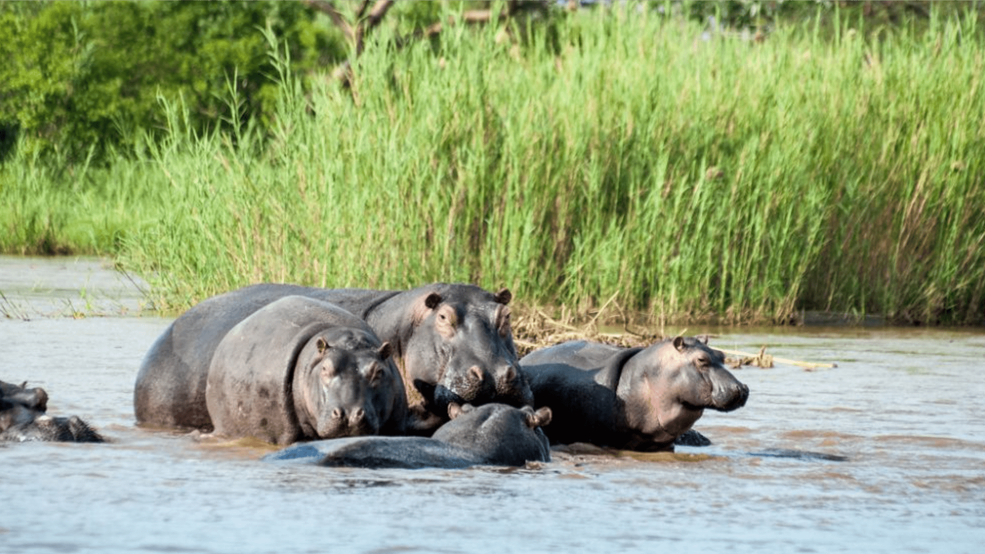 Rusizi National Park