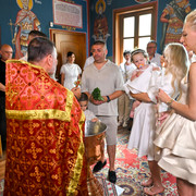 pic 295