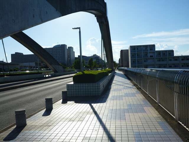 P1340194.jpg