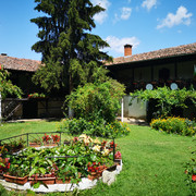 IMG-20230723-122946