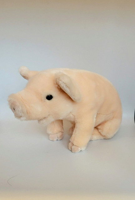 jizz-pig