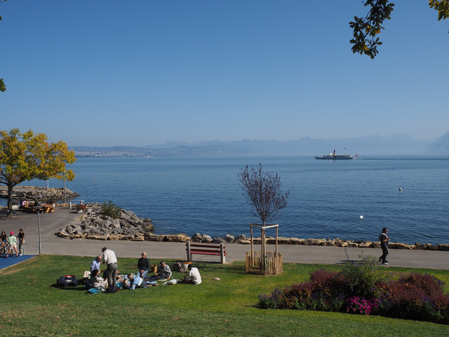 [Image: PA070107.jpg]