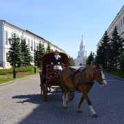 DSC0316