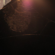 IMG-3637
