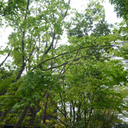 P1230878