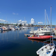 IMG-1321