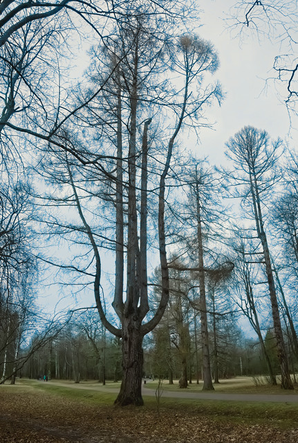 DSCF4441.jpg