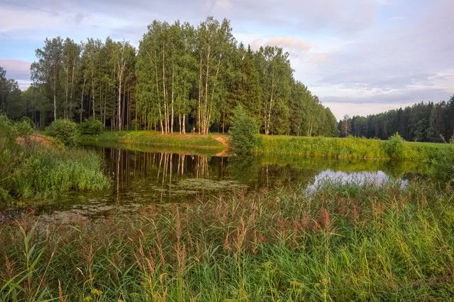 DSCF4050.jpg