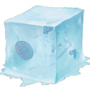Jelly