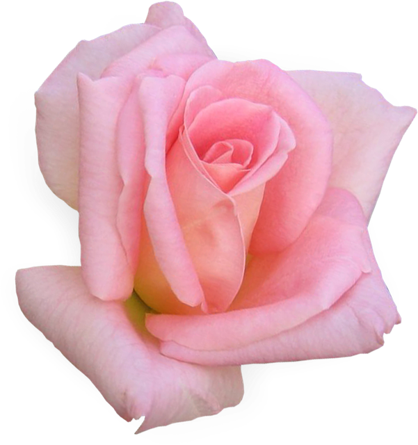 r025