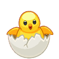 hatching-chick-1.gif