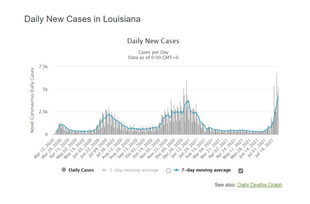 Louisianacases
