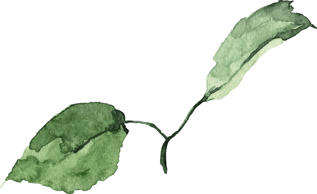 Leaf-22