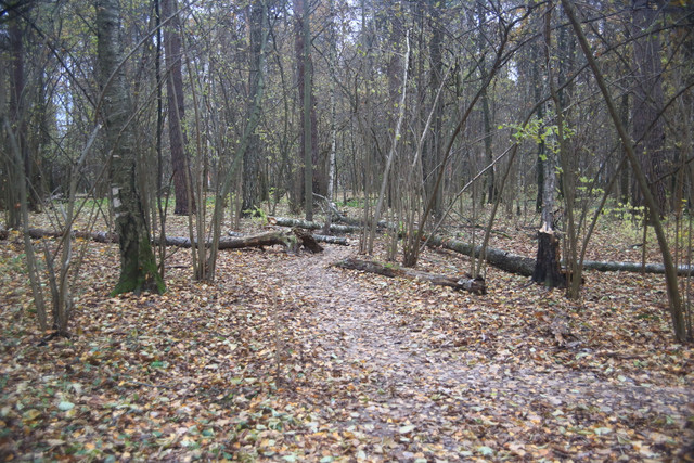 IMG-2113