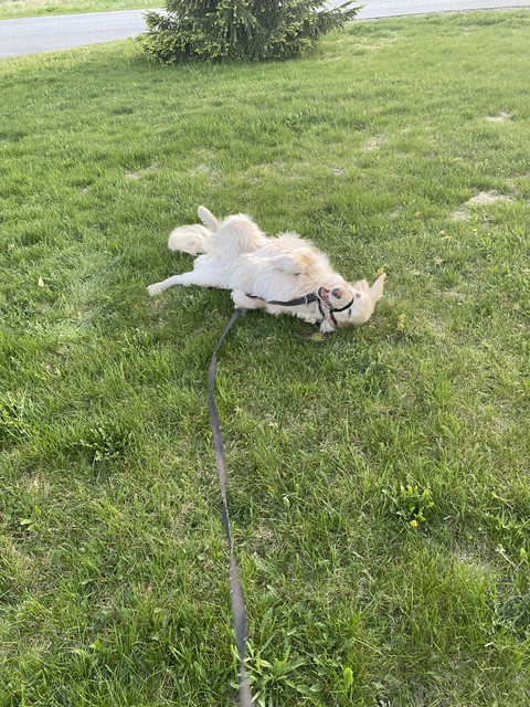 88-A28-CE5-F77-E-4-F5-A-8-F02-F33-E9-C6-