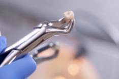 Dentist-Melbourne Dentist-Melbourne